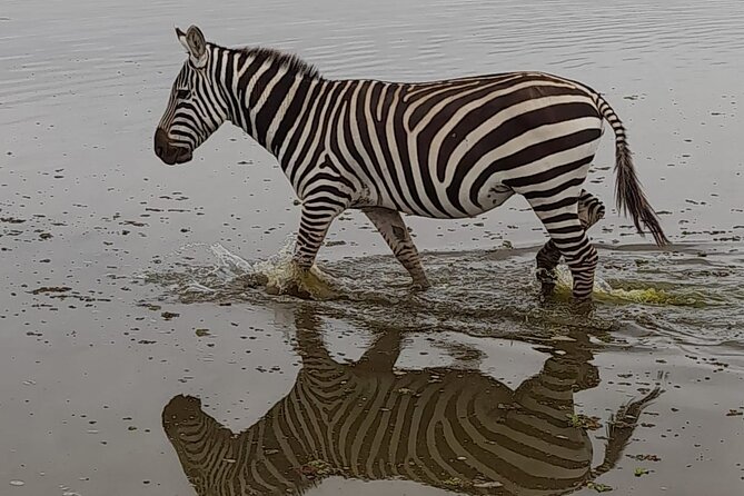 3-Day Amboseli Safari From Nairobi - Witnessing Wildlife at Mount Kilimanjaro