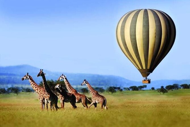 3 Day Essential 4x4 Safari: Manyara, Tarangire & Ngorongoro - Accessibility and Transportation