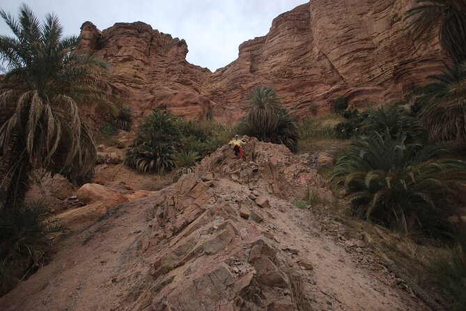 3-Day Small-Group Guided Hiking Expedition in the Sinai Desert - Physical Fitness Requirements