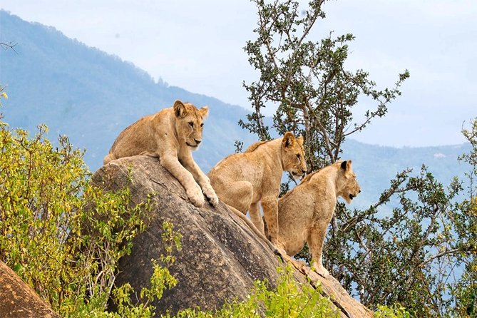 3 Days, 2 Nights Safari - Amboseli National Park and Tsavo West Adventure Safari - Landscapes and Views