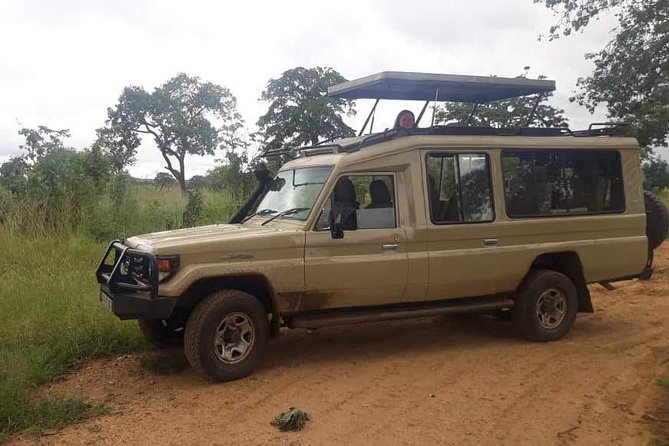 3 Days Safari - Selous Game Reserve - Safari Activities