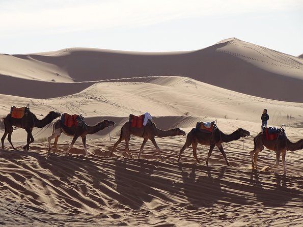 3 Days Tour From Marrakech to Merzouga - Itinerary