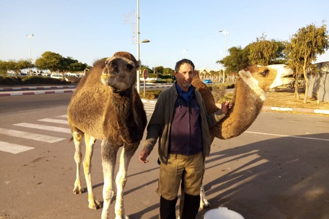 3-Hour Camel Ride at Sunset - Exploring the Beaches