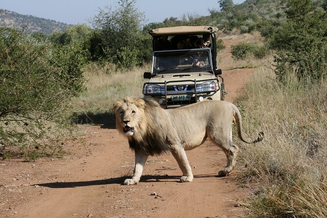 3-Hour Private Game Drive of Pilanesberg National Park - Booking and Cancellation Details