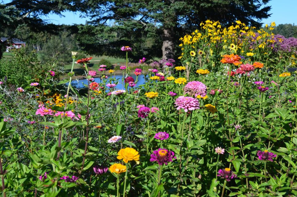 3 Hour Private Tour: Insiders Tour of Acadia National Park - Customization Options