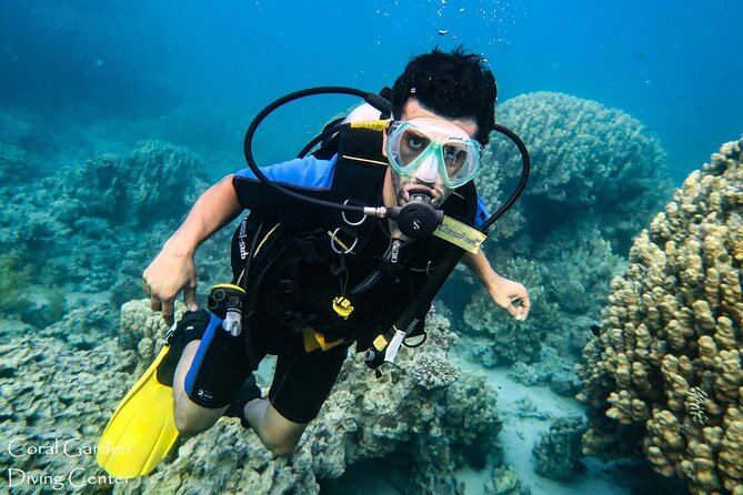 3-Hour Shore Dive or Snorkel Experiences in Aqaba - Medical Requirements