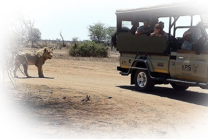 3 Night & 4 Day Private Kruger Park Safari - Accessibility and Health Considerations