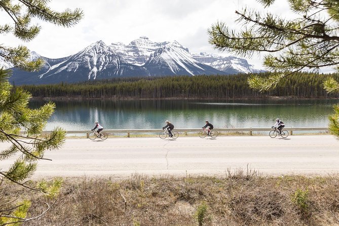 4-Day Bicycle Tour Through Canadian Rockies - Participant Requirements