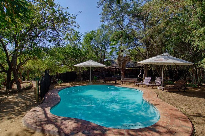 4 Day Budget Kruger National Park Safari - Itinerary Highlights