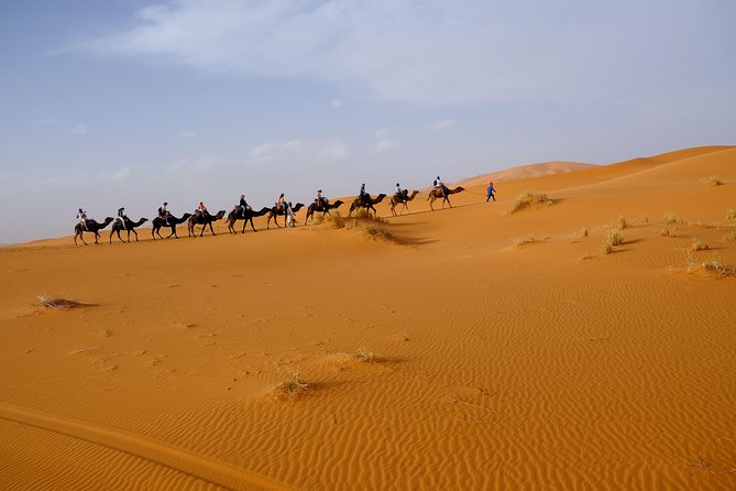 4 Day Merzouga Desert Trip From Marrakech - Kasbah Highlights