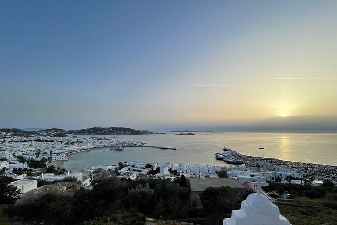 4 Hour Private Island Tour in Mykonos - Mykonos in a Day - Confirmation and Accessibility