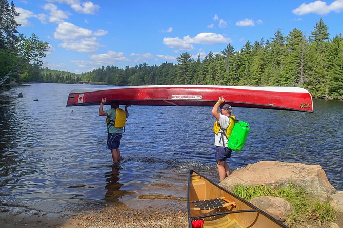 6 Hour Algonquin Park Canoe Trip - Scenic Lookout Hike