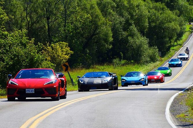 6 Hour Exotic Car Tour Driving 6 Super Cars + Lunch - Traveler Fitness Requirement