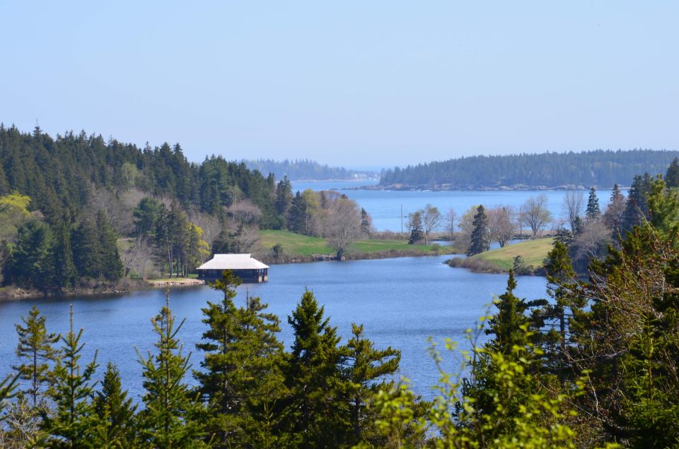 6 Hour Private Tour: Ultimate Acadia Tour With Lobster Lunch - Precipice Cliffs Hike