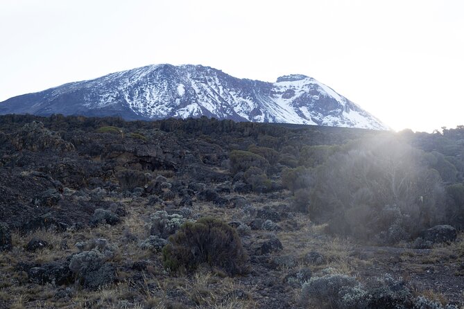 7 Days Kilimanjaro Climbing Tour | Hiking via Lemosho Route - Detailed Itinerary