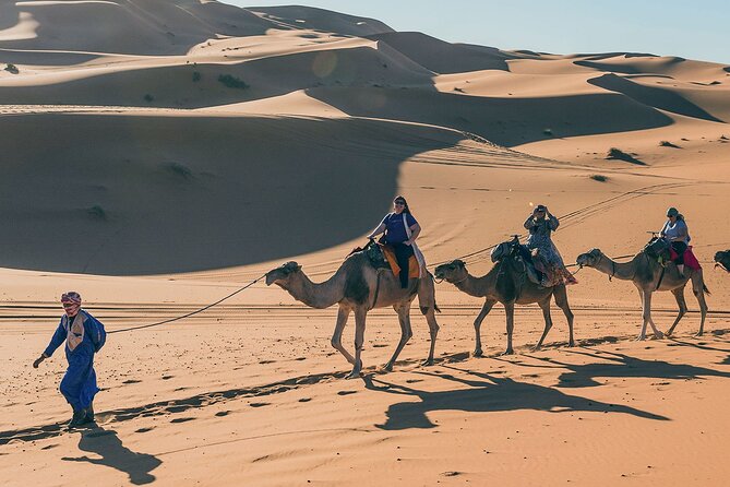 7 Days Luxury Desert Tour From Casablanca to Marrakech via Fez -Camel Trekking - Discovering Marrakech