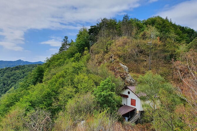 7-Hour Private Tour to Bran Castle From Bucharest - Pricing and Booking