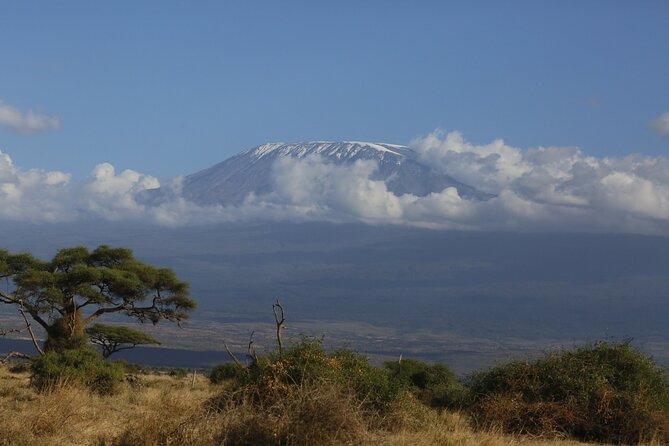 8 Day Masai Mara, Lake Nakuru, Lake Naivasha Amboseli Safari - Itinerary: Lakes and Amboseli