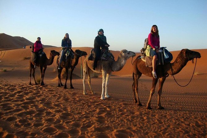 8-Day Tour From Casablanca to the Sahara Desert - Accessibility and Participation