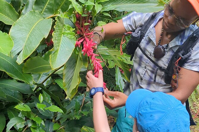 A Day of Relaxation in the Jungle and Waterfalls of Dominica - Hike and Swim