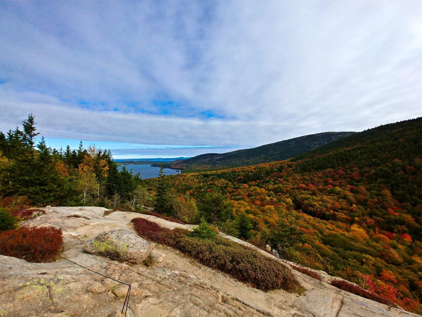 Acadia Half Day Private Bike Tour - Park Entry Included