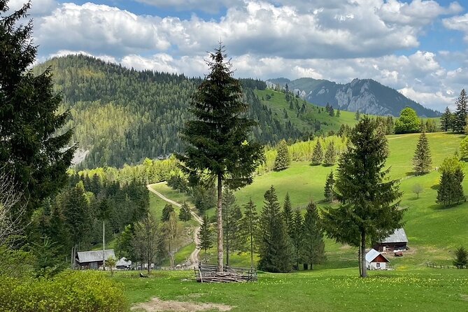 Adventure Day Trip From Iasi | Hiking in the Carpathian Mountains - Reviews and Ratings