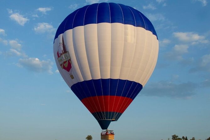 Adventure Hot Air Balloon With Buffet Breakfast & Falcon Show - Captivating Falcon Showcase