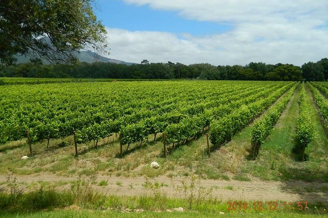 African Story Wine Tours in the Cape Winelands - Convenient Transportation and Pickup