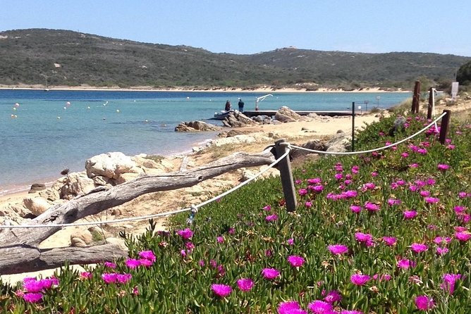 Afternoon Excursion (15: 00/19: 00) by Rubber Boat in the Archipelago of La Maddalena. - Cancellation Policy and Booking