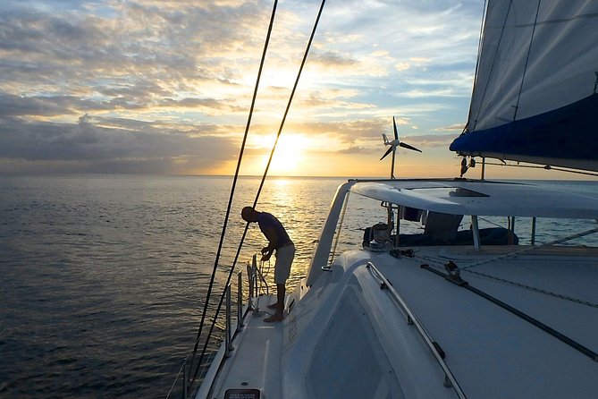 Afternoon Luxury Catamaran Sailing and Charter Cruise From Bridgetown - Customer Reviews and Rating