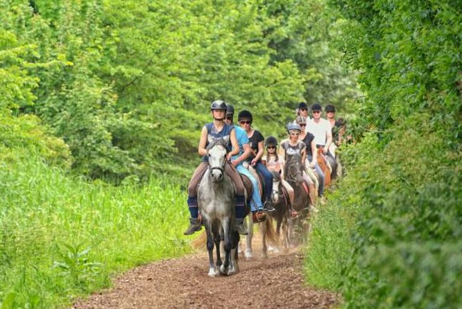 Agadir 2-Hour Private Horse Riding Experience With Pickup - Horse and Guide Quality