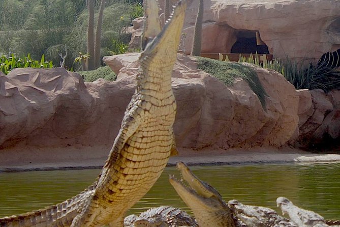 Agadir Crocoparc With Transfer & Admission Ticket - Admission Ticket Details