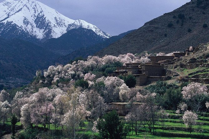 Agafay Camel Ride & Ourika Valley in Atlas Mountains - Explore the Atlas Mountains