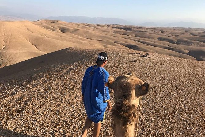 Agafay Desert & Atlas Mountains Day Trip From Marrakech - Meeting Point and Transport