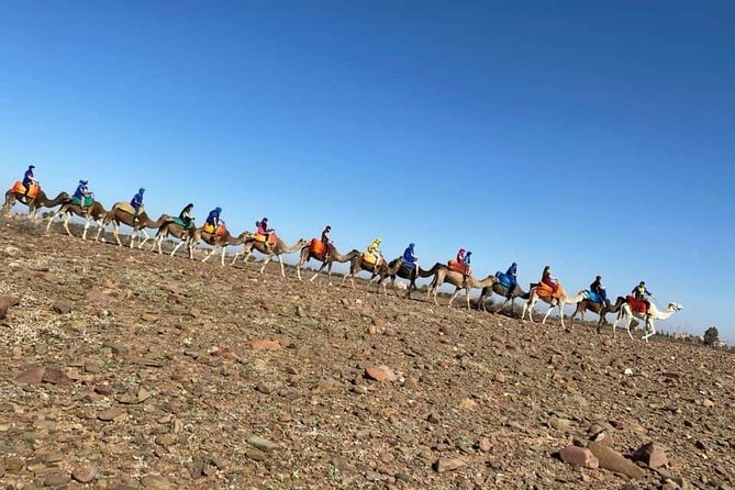 Agafay Marrakech Desert Tour With Romantic Dinner in Berber Tents - Pricing and Cancellation