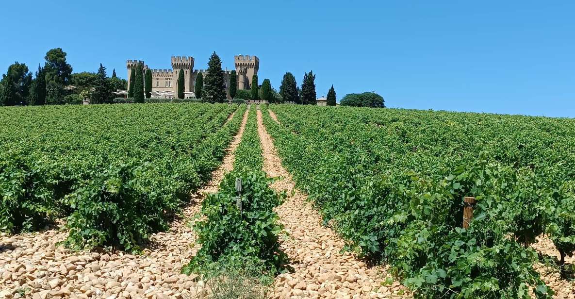 Aix-en-Provence: Avignon Tour & Chateauneuf-du-Pape Tasting - Pricing and Availability