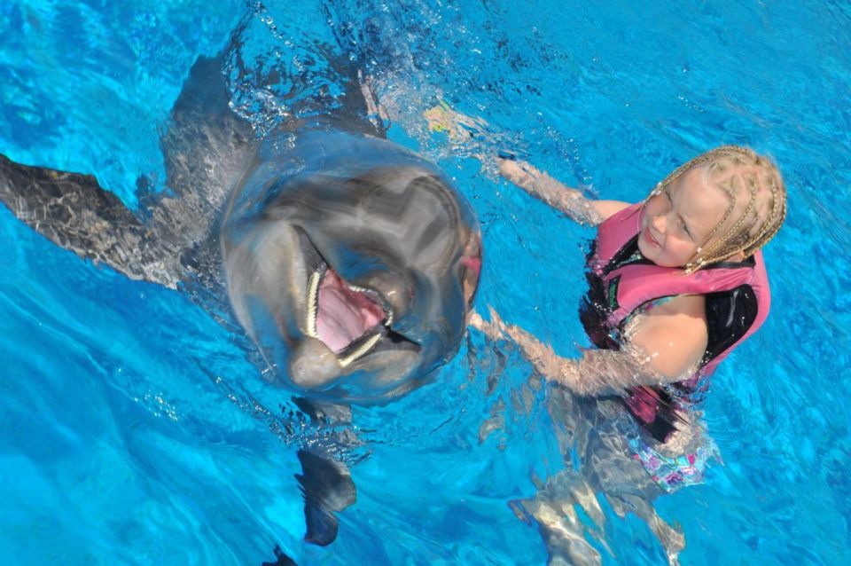 Alanya: Dolphin and Seal Show Ticket With Hotel Transfers - Hotel Pickup and Drop-off