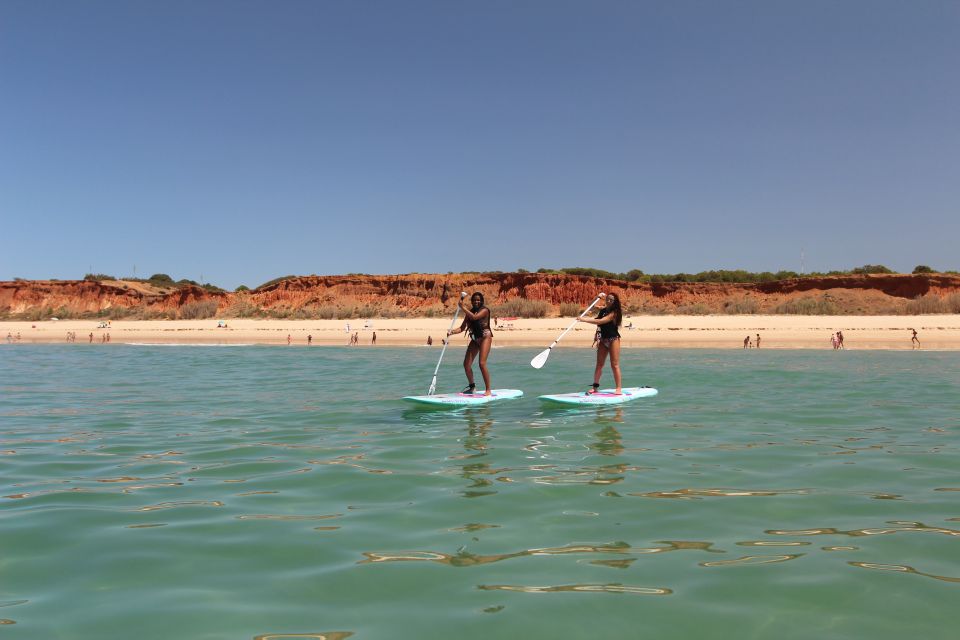 Albufeira: 1 Hour Stand-Up Paddleboard Experience - Meeting Point and Pickup