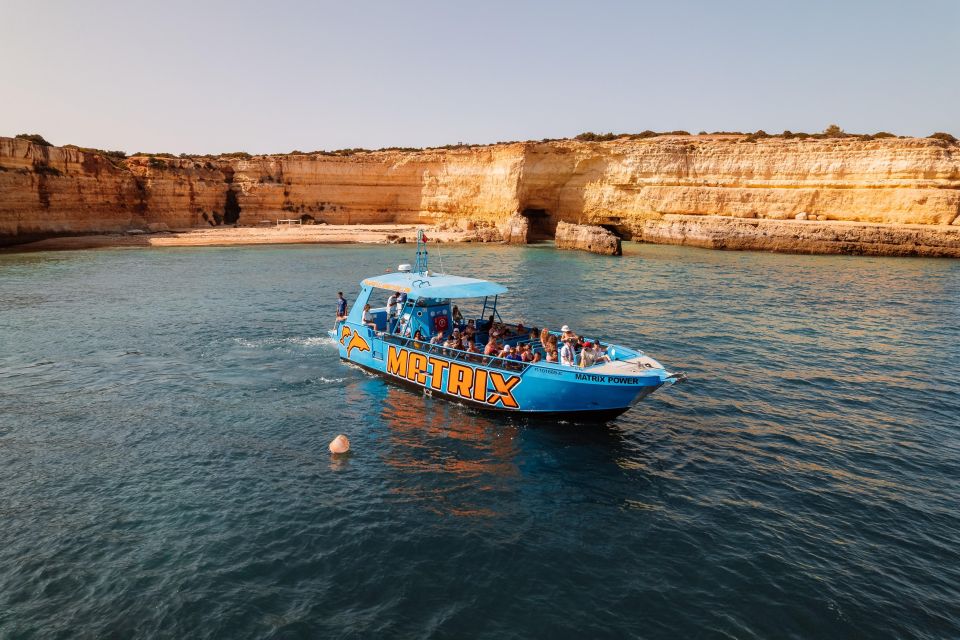 Albufeira: 2.5-Hour Dolphin Watching and Caves Trip - Customer Reviews and Ratings