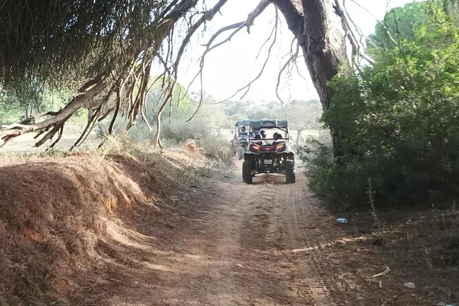 Albufeira 2 Hour Off-Road Tour Buggy Adventure Tour - Inclusions and Exclusions