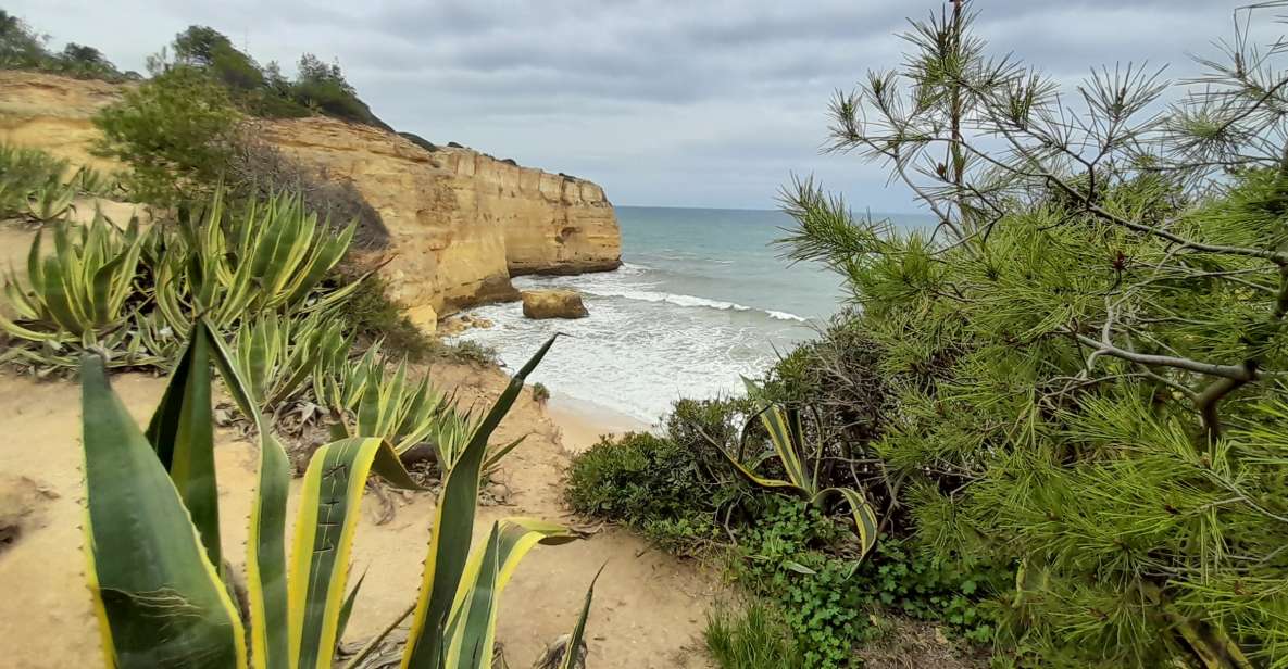 Albufeira: Algarve Cliffs and The Chapel of Bones Tour - Pickup and Transportation