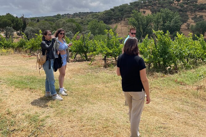 Alentejo Wine Tour From Évora - Tour Experience