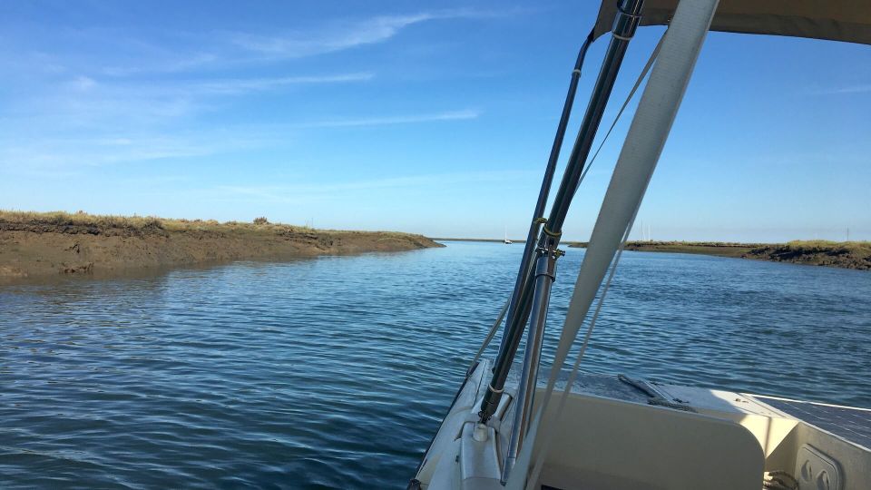 Algarve: Eco Boat Tour in the Ria Formosa Lagoon From Faro - Customer Ratings and Reviews