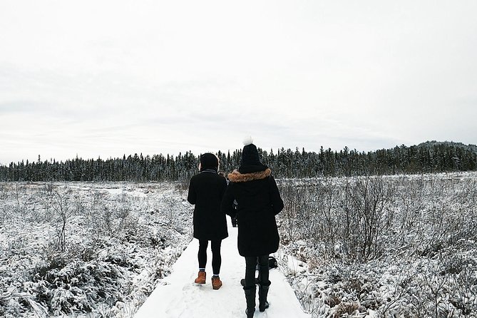 Algonquin Park Winter Adventure - Group Size and Composition