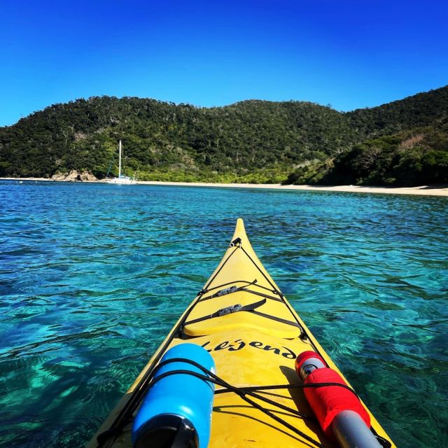 Amami Black Current Private Kayak Tour - Kuroshio Black Current Experience