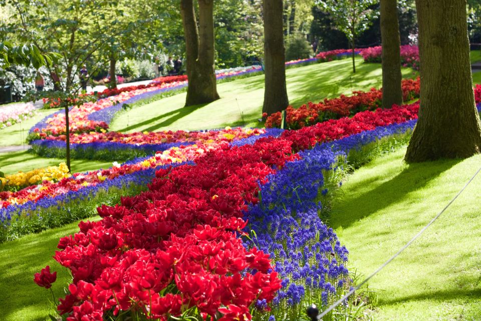 Amsterdam: Canal Cruise & Keukenhof Ticket With Shuttle Bus - Keukenhof Tulip Gardens