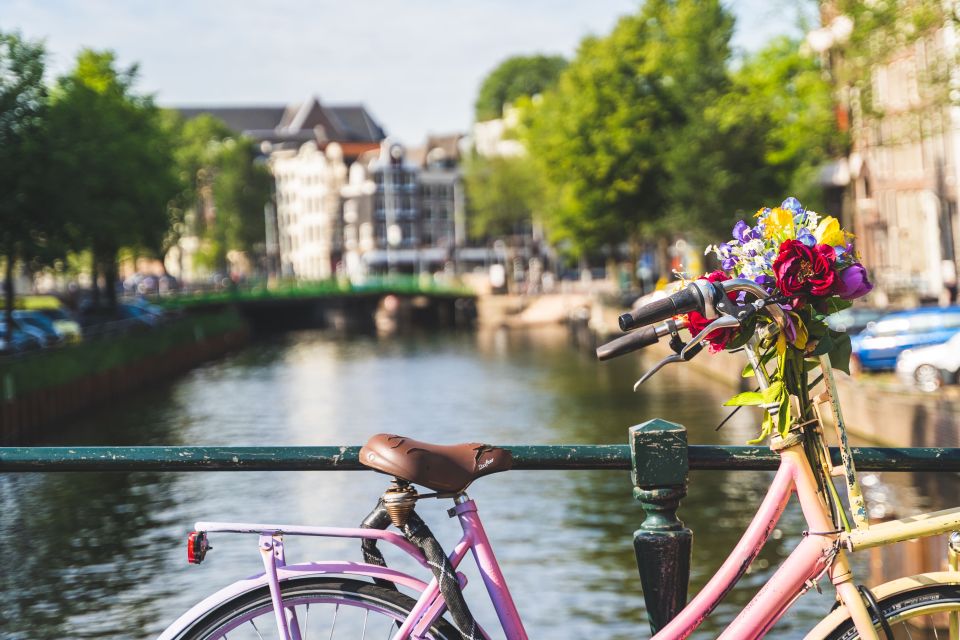 Amsterdam: Countryside Bike Tour - Customer Feedback