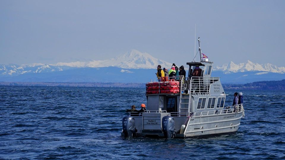 Anacortes: Orca Whales Guaranteed Boat Tour Near Seattle - Discover the Salish Sea