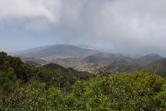 Anagas Biosphere Reserve VIP TOUR - Explore Santa Cruz and Anaga