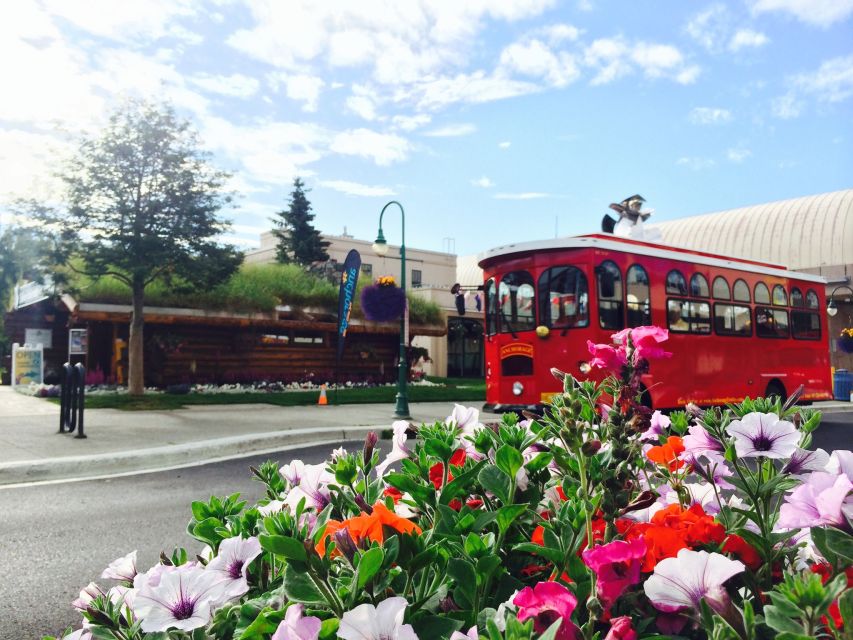 Anchorage: 1-Hour Trolley Tour - Tour Guide and Language